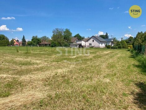 foto02_11509180_1jy56k.jpg