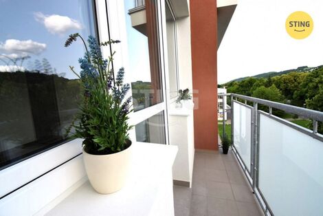 foto02_11509182_1cz0zc.jpg