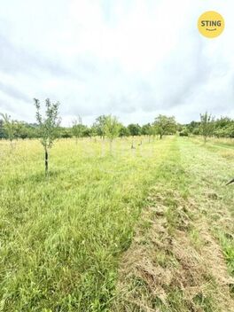 foto02_11509183_1btu6s.jpg