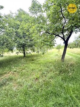 foto02_11509183_gklp8.jpg