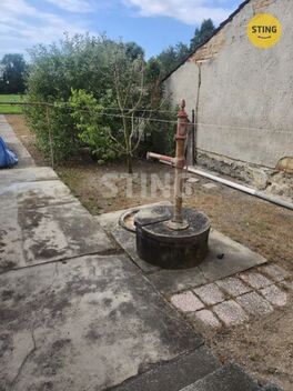 foto02_11518712_1jx8xg.jpg