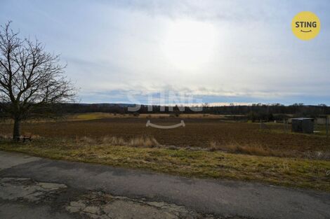 foto02_11526206_hvkio.jpg