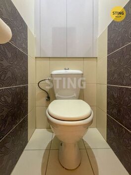 foto02_11530737_y7xds.jpg