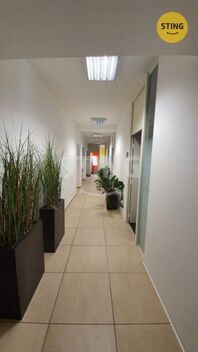 foto02_11530738_13tql0.jpg