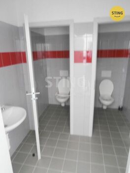 foto02_11531643_xg2ok.jpg