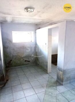 foto02_11535290_1b2vcs.jpg