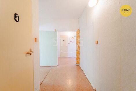 foto02_11537684_ltem4.jpg