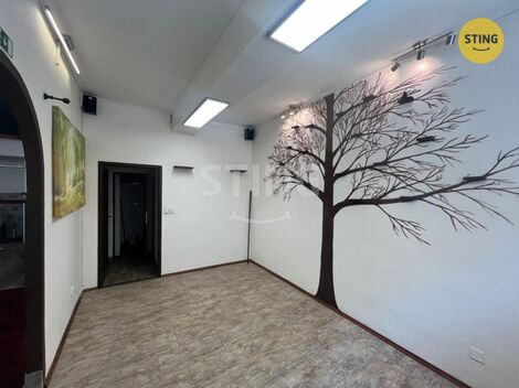 foto02_11538296_g372w.jpg