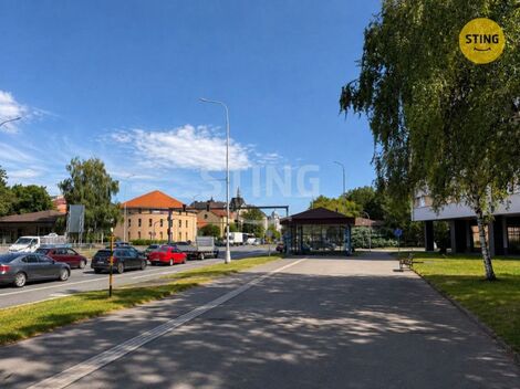foto02_11539408_am9vs.jpg