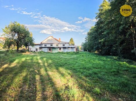 foto02_11540830_1iomzk.jpg