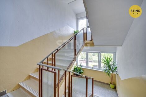 foto02_11544023_15oubo.jpg