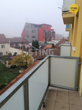foto02_11545471_honag.jpg