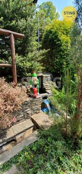 foto02_11549544_zy84o.jpg