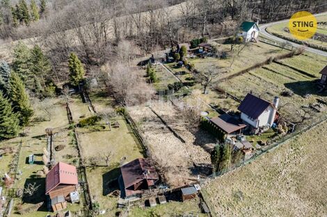 foto02_11553566_g7y2g.jpg