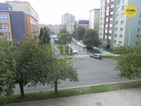 foto02_11562453_16f8k.jpg