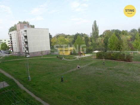 foto02_11562453_yoxvs.jpg