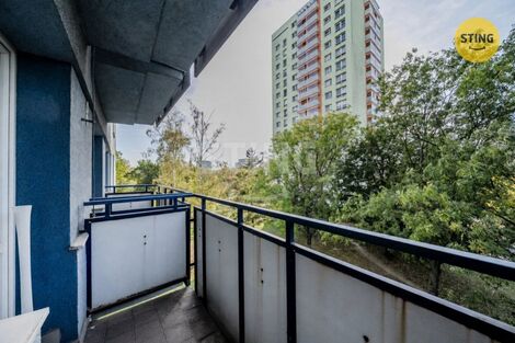 foto02_11562976_vbus0.jpg