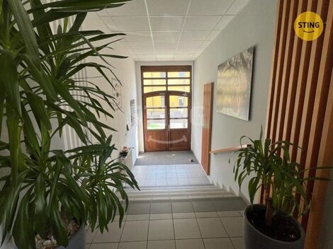 foto02_11567826_1l0gfc.jpg