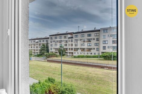 foto02_11572151_1hhzf0.jpg