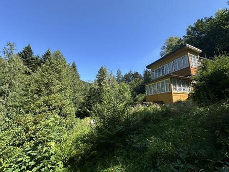 foto02_11539409_1bytcs.jpg