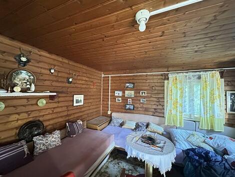 foto02_11539409_o5m3g.jpg