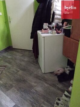 foto02_11348034_ii7hk.jpg