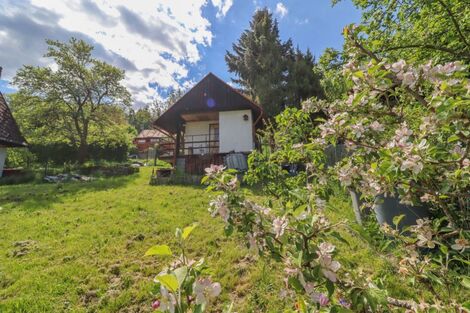 foto02_11316108_1bwdxk.jpg