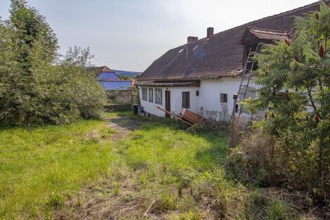 foto02_11363111_ovqok.jpg