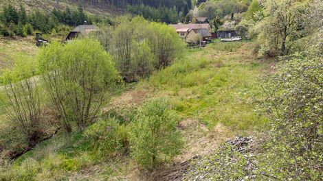 foto02_11458980_1eyc40.jpg