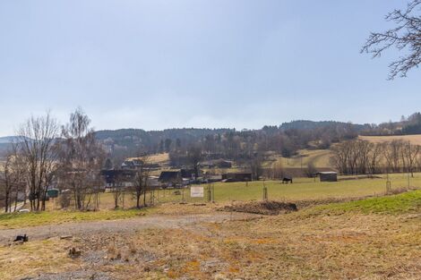 foto02_11469309_zdu98.jpg