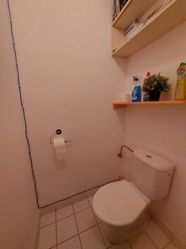 foto02_11481684_2iqo0.jpg