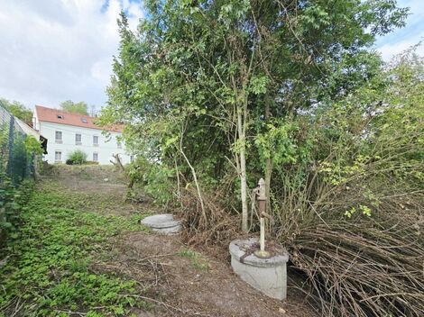 foto02_11557078_s924c.jpg