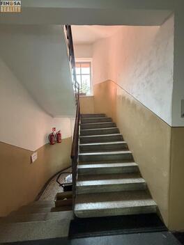 foto02_11560113_ejd7c.jpg