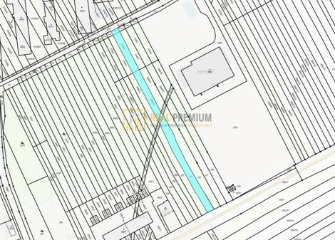 foto02_11508084_ew2rk.jpg