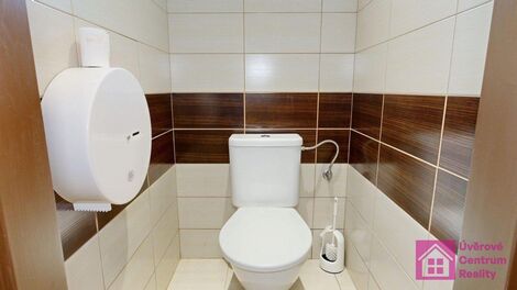foto02_11316109_1bqsgs.jpg