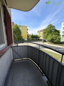 foto02_11492132_cfv2k.jpg
