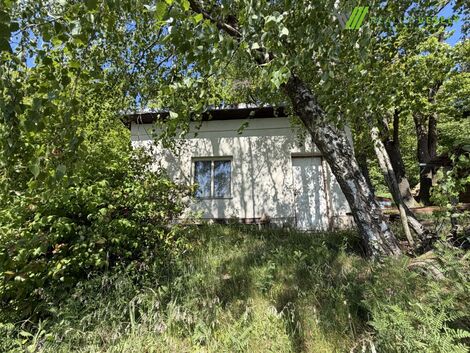 foto02_11502729_11df14.jpg