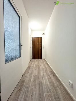 foto02_11537312_r3om4.jpg