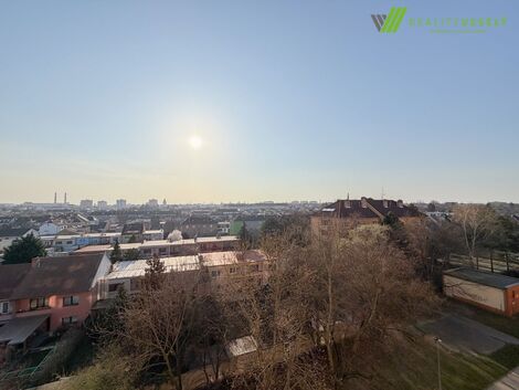 foto02_11539416_dy3jg.jpg