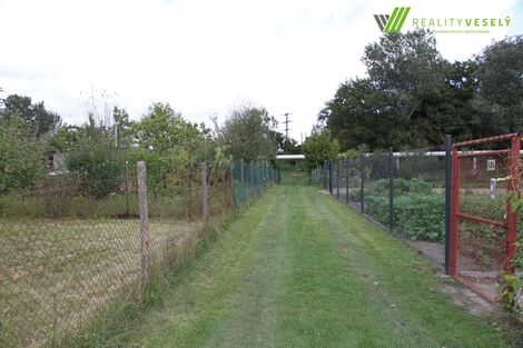 foto02_11544870_63j8o.jpg