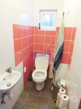 foto02_11489416_1j3r4g.jpg