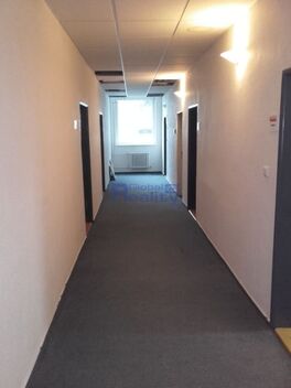 foto02_11535951_nsy0.jpg