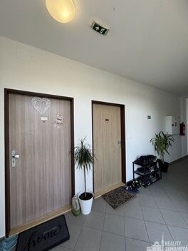 foto02_11482687_xikko.jpg