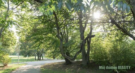 foto02_11368412_6qgh0.jpg
