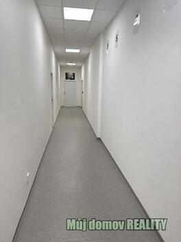 foto02_11479872_cws0s.jpg