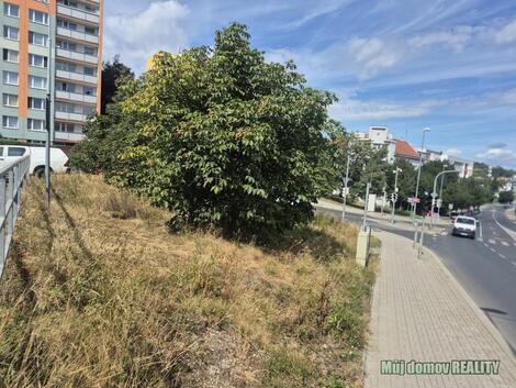 foto02_11537164_exdlo.jpg