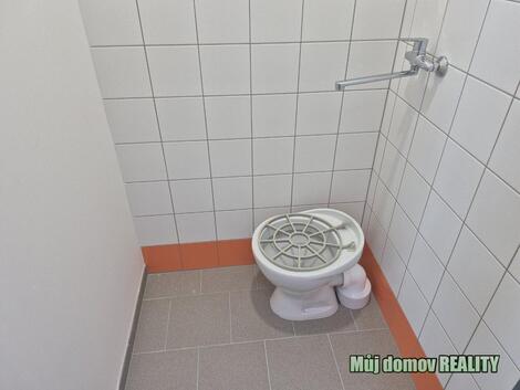 foto02_11554576_12qfro.jpg