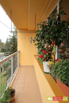 foto02_11490640_ilq6o.jpg
