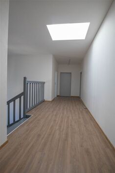 foto02_11514670_xnff4.jpg