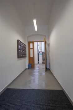 foto02_11537713_gy7ik.jpg